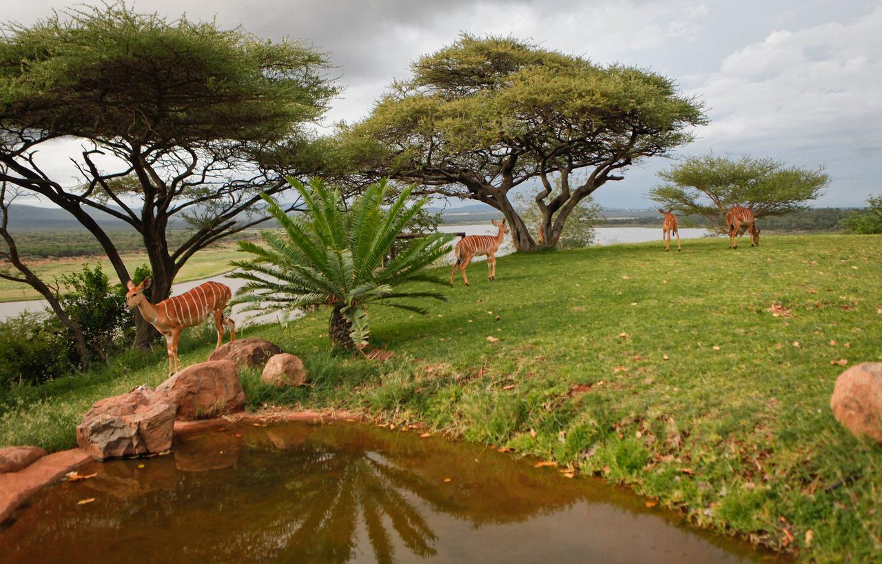Nkwazi Lake Lodge Pongola Zewnętrze zdjęcie