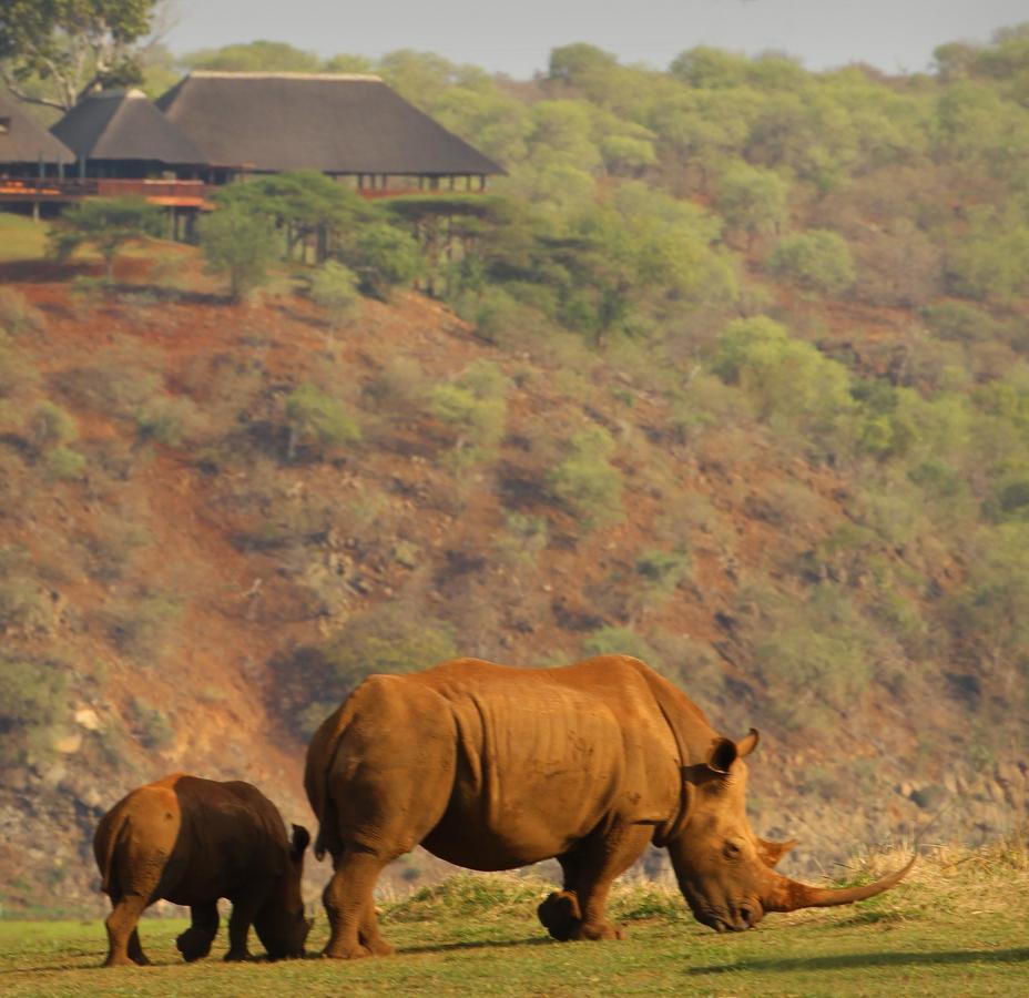 Nkwazi Lake Lodge Pongola Zewnętrze zdjęcie